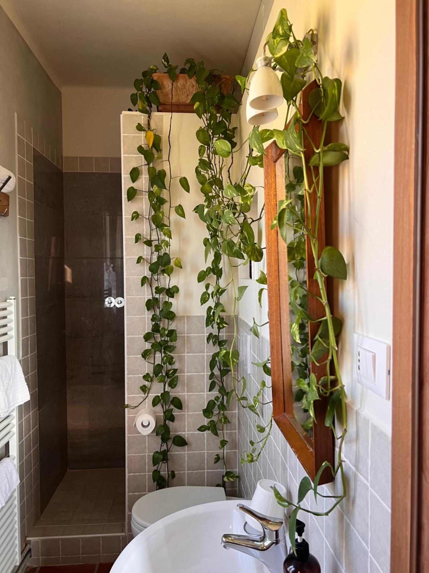 Relais B&B Betty Bike Sasso Feltrio Екстер'єр фото